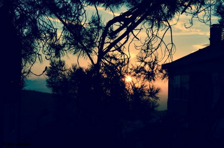 EVA ARAÚJO - EXIF: não disponível